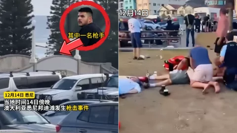 悉尼邦迪海滩枪击事件