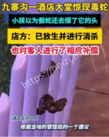 九寨沟酒店毒蛇