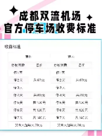 机场网约车停车费