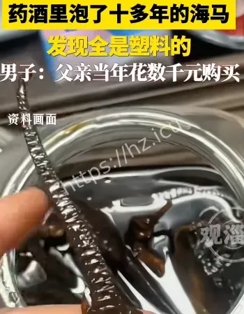 药酒泡海马