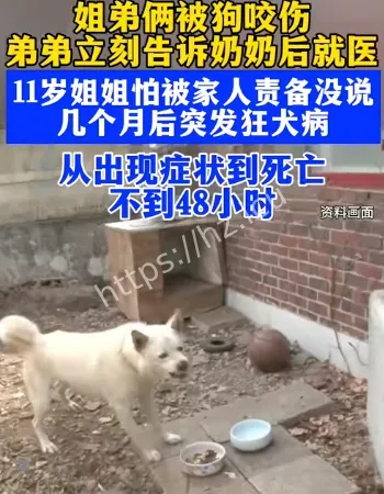 姐弟俩被狗咬