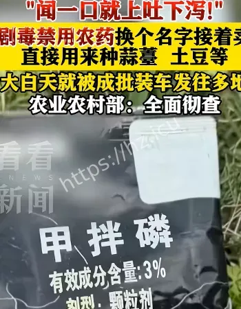 剧毒农药种蒜薹